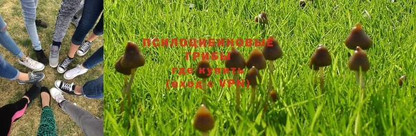 мет Арсеньев