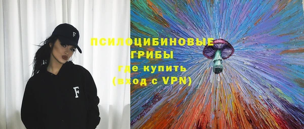 spice Алексеевка