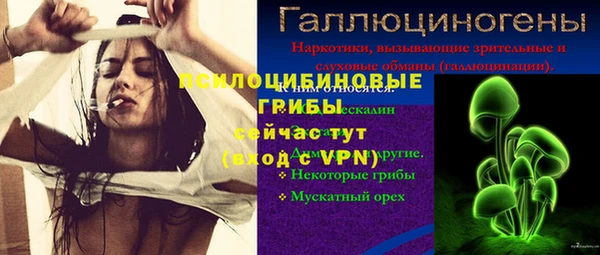 a pvp Армянск