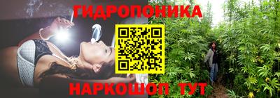 PSILOCYBIN Тверь