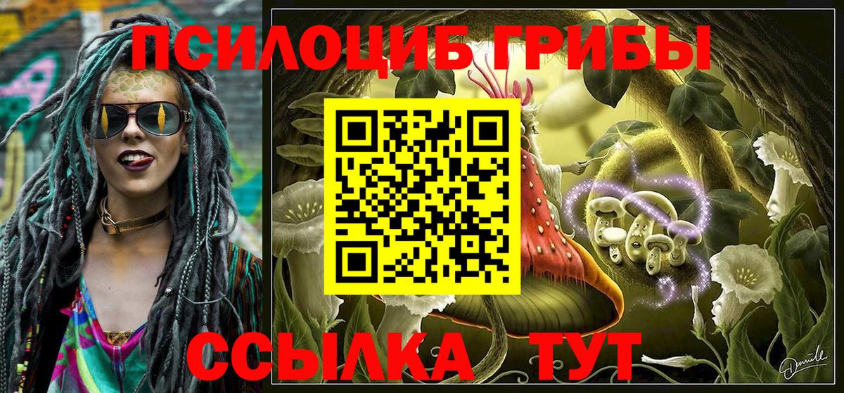 Галлюциногенные грибы Psilocybine cubensis Саянск