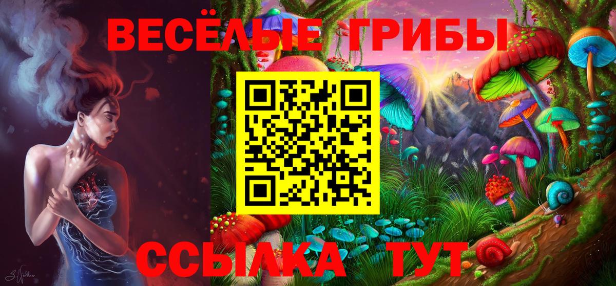 Псилоцибиновые грибы мухоморы  Вход с VPN  Саянск 